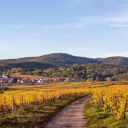 Bed & Breakfast Vinotel Weinstrasse Herxheim am Berg