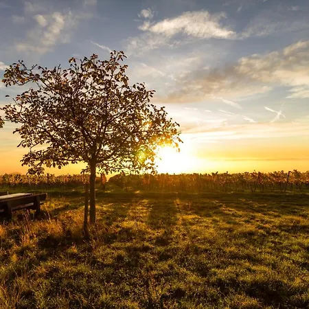 Vinotel Weinstrasse Bed & Breakfast Herxheim am Berg