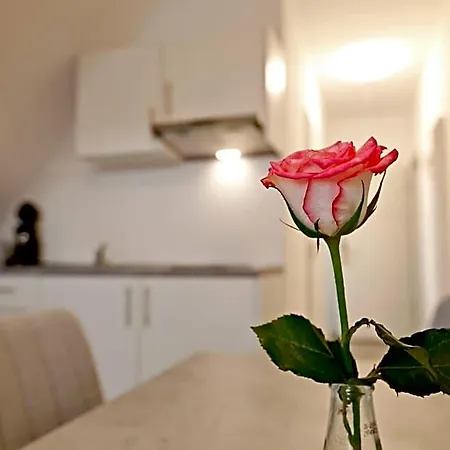 Couette-café Vinotel Weinstrasse 4*
