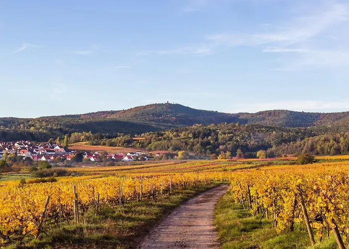 Alojamento de Acomodação e Pequeno-almoço Vinotel Weinstrasse Herxheim am Berg